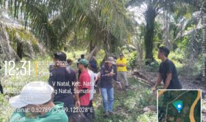 IMG-20260705-WA0015